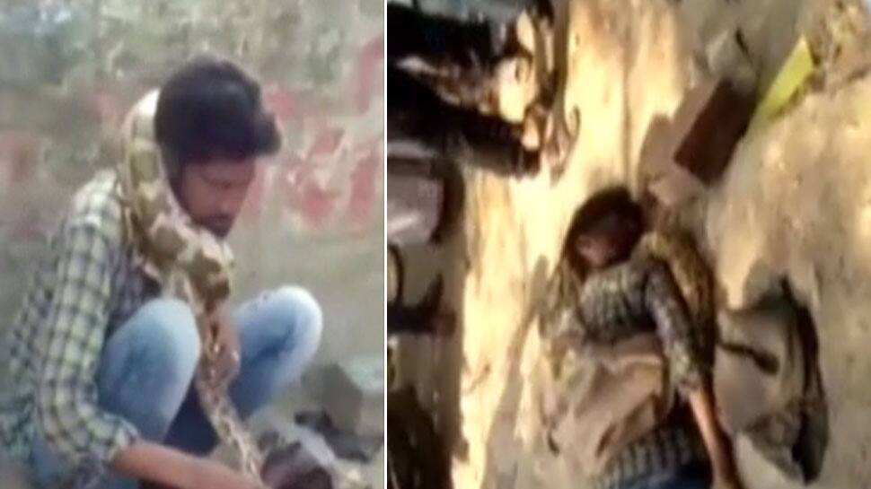 UP: લોકો ખેલ સમજતા રહ્યા અને અઝગરે મદારીને ભરડામાં લીધો UP: લોકો ખેલ સમજતા રહ્યા અને અઝગરે મદારીને ભરડામાં લીધો