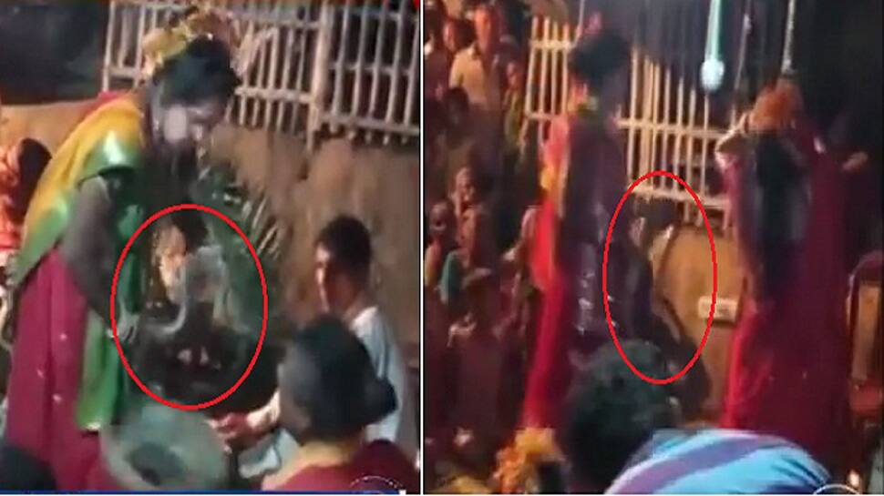 VIDEO: જીવતો સાપ લઈને ફરતી હતી અભિનેત્રી, પછી જે થયું....જોઈને રૂવાંડા ઊભા થઈ જશે VIDEO: જીવતો સાપ લઈને ફરતી હતી અભિનેત્રી, પછી જે થયું....જોઈને રૂવાંડા ઊભા થઈ જશે