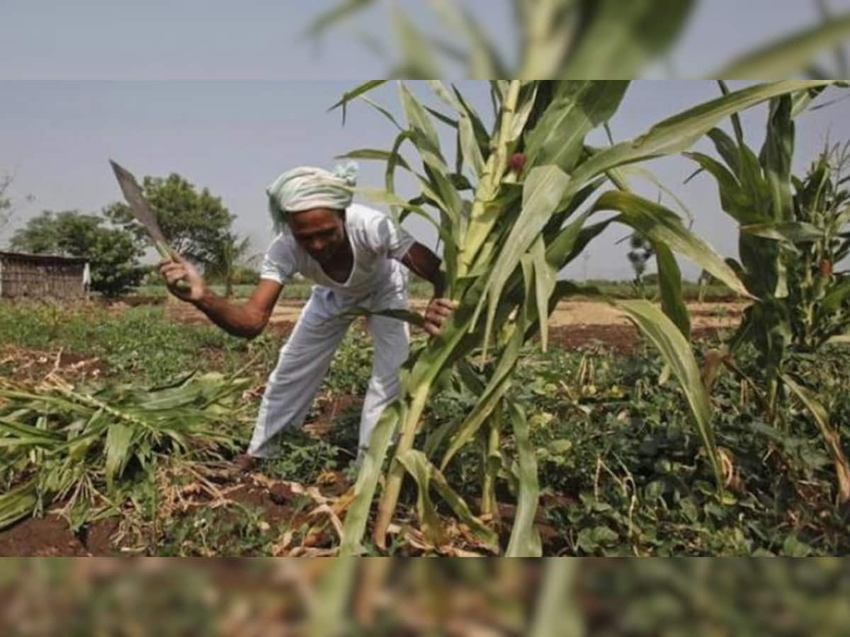 #IndiaKaDNA : કેવી રીતે થશે ખેડૂતોની આવક બમણી? 'આવી GDP વધવાનો કોઈ ફાયદો નથી'