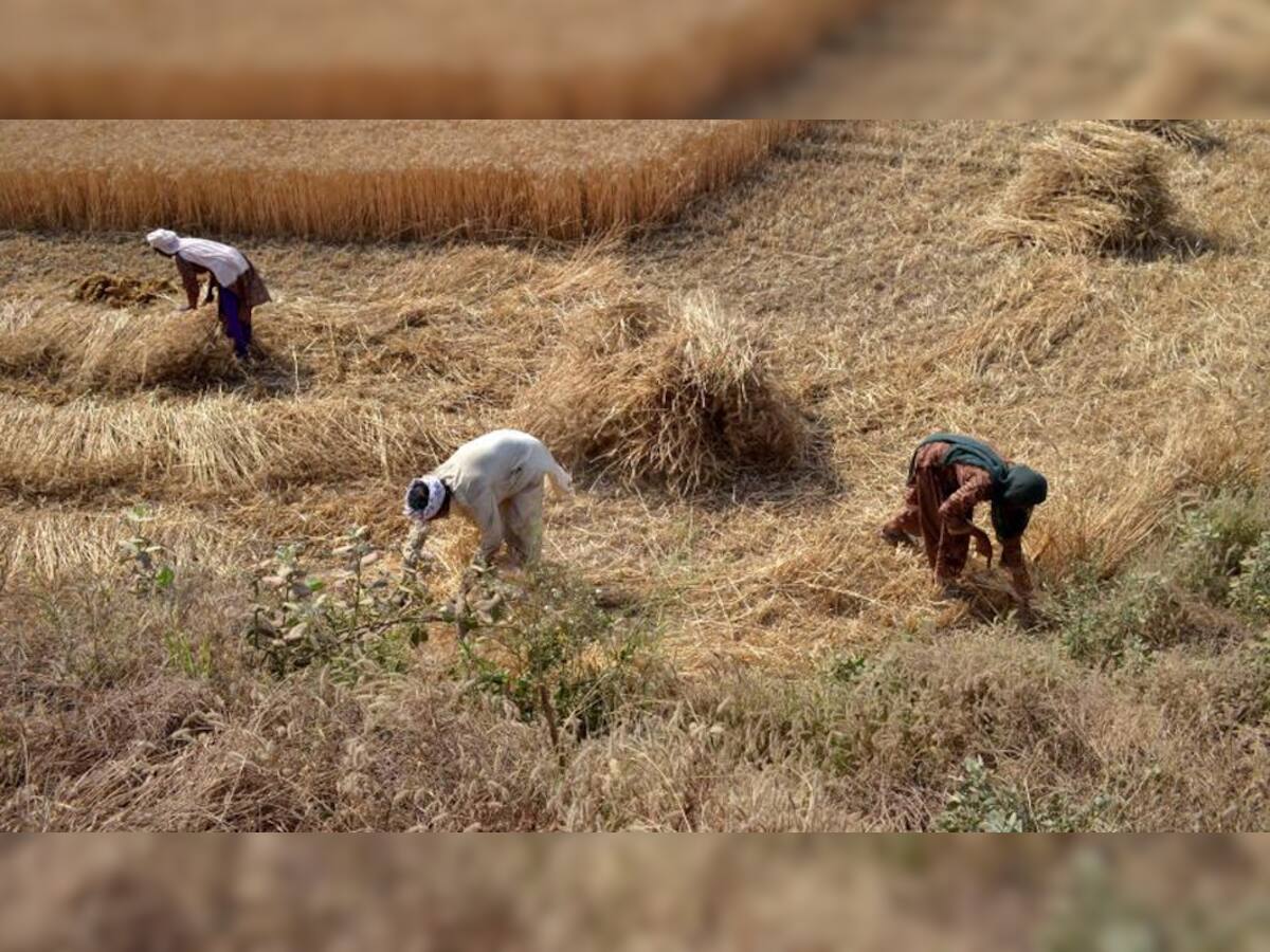 ખેડૂતોને સાથે રાખી ફરી માપણી કરાશે, એજન્સીઓ સામે પગલાં ભરાશે: કૌશિક પટેલ