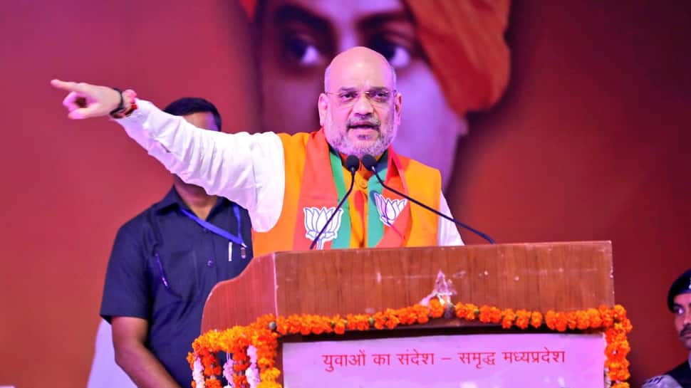 'પાકિસ્તાન ઝિન્દાબાદ'ના નારા લાગશે જ, જો તમે પાક. સૈન્યના વડાને ગળે લગાડશો: અમિત શાહ 'પાકિસ્તાન ઝિન્દાબાદ'ના નારા લાગશે જ, જો તમે પાક. સૈન્યના વડાને ગળે લગાડશો: અમિત શાહ