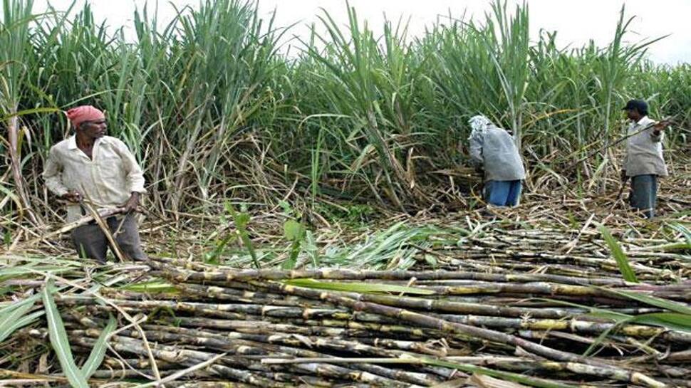 સુરત: પાણીકાપથી હેરાન પરેશાન ખેડૂતો, વિરોધ વ્યક્ત કરવા 8મીએ કાઢશે જળયાત્રા 