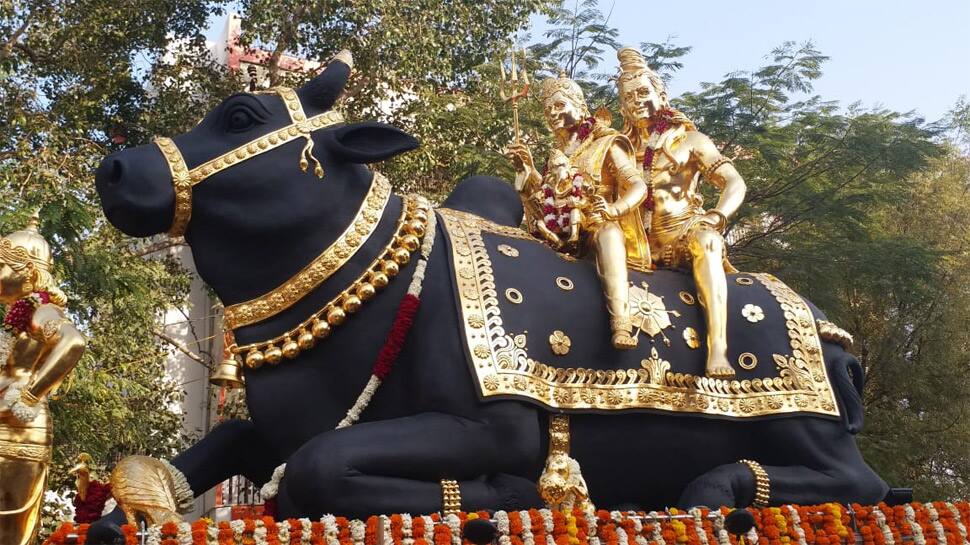સોને મઢેલા નંદી સાથે વડોદરામાં નિકળી શિવરાત્રીએ ‘શિવજી કી સવારી’ સોને મઢેલા નંદી સાથે વડોદરામાં નિકળી શિવરાત્રીએ ‘શિવજી કી સવારી’