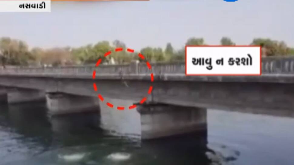 Video : કેનાલને બનાવ્યું સ્વીમિંગ પુલ, જોખમી સ્ટંટ કરીને યુવકોએ ડૂબકી લગાવી Video : કેનાલને બનાવ્યું સ્વીમિંગ પુલ, જોખમી સ્ટંટ કરીને યુવકોએ ડૂબકી લગાવી