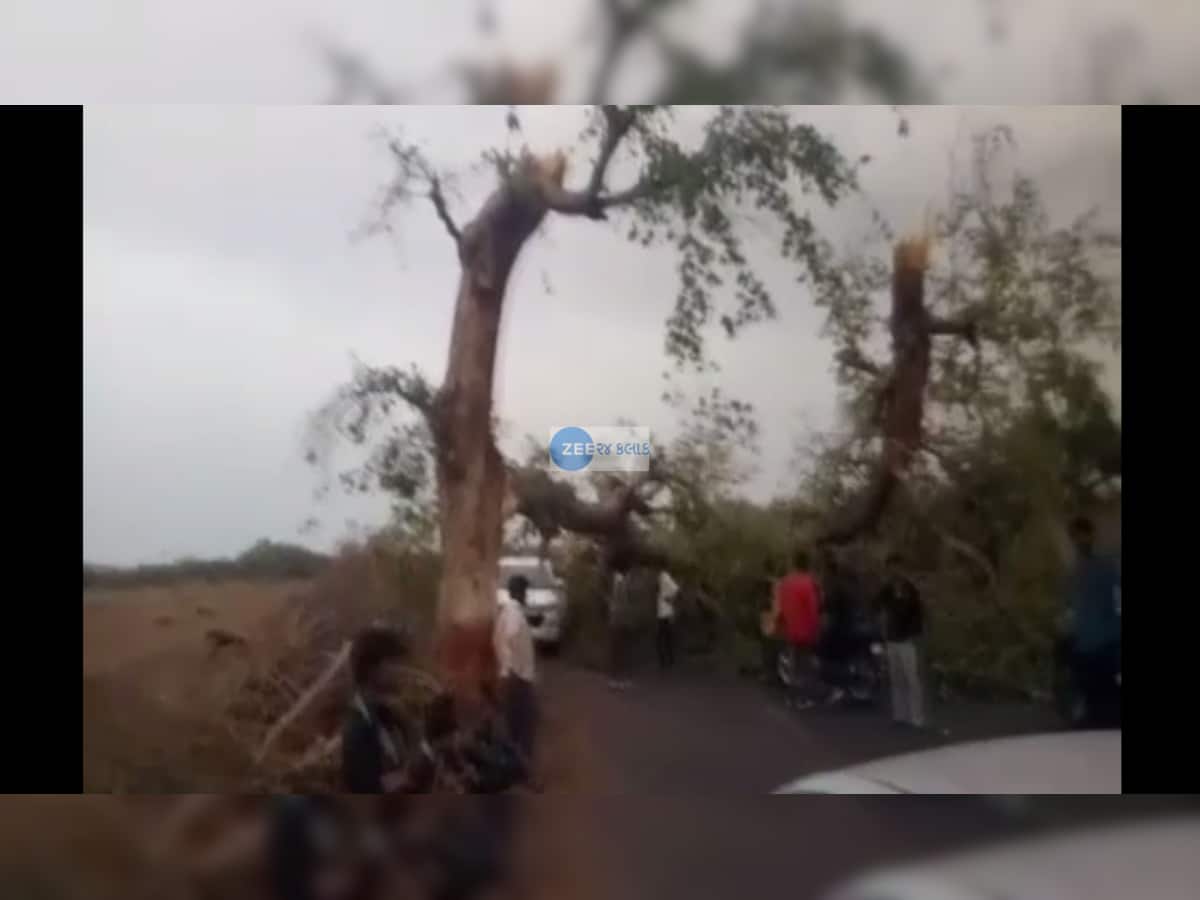 પાલનપુર: ચિત્રાસણી નજીક ભારે પવન ફૂંકાતા ઝૂંપડા પર ઝાડ પડ્યું, એકનું મોત 5 ઘાયલ