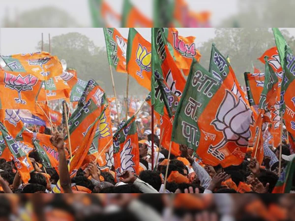LokSabha Election Results 2019 :સમગ્ર દેશ નમો નમ: રાહુલનો હારનો સ્વિકાર કર્યો