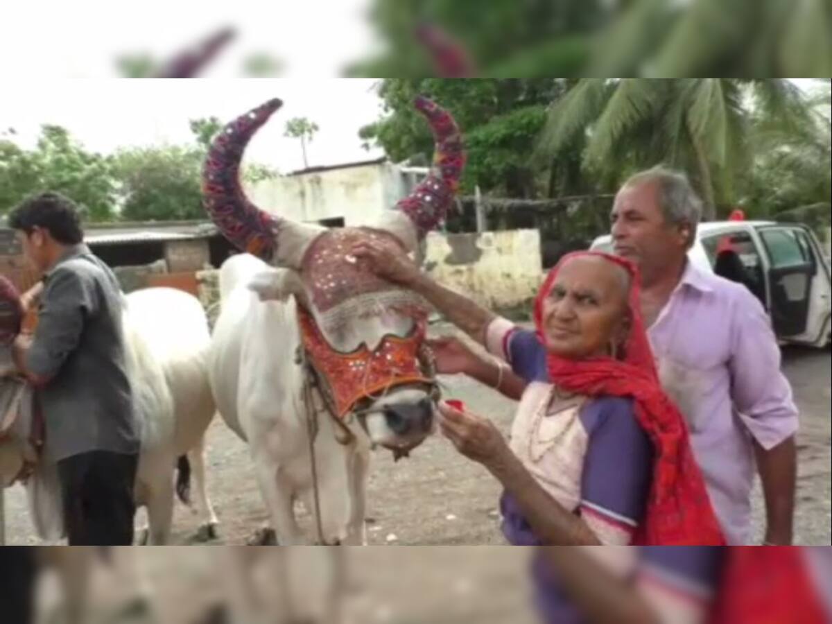 ‘વાયુ’ વાવાઝોડાને કારણે ગુજરાતના ખેડૂતોને મળી મોટી ખુશી, ખાસ મુહૂર્તમાં કરી શક્યા વાવણી