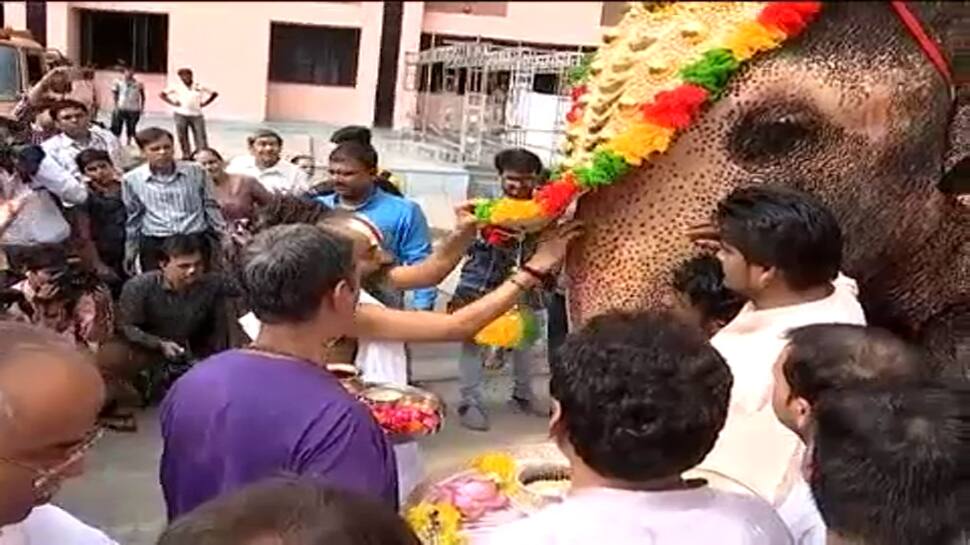 રથયાત્રા અપડેટ્સ : આંખે પાટા બાંધેલા ભગવાનને સોના વેશ પહેરાવાયો, 16 ગજરાજની પૂજા કરાઈ રથયાત્રા અપડેટ્સ : આંખે પાટા બાંધેલા ભગવાનને સોના વેશ પહેરાવાયો, 16 ગજરાજની પૂજા કરાઈ