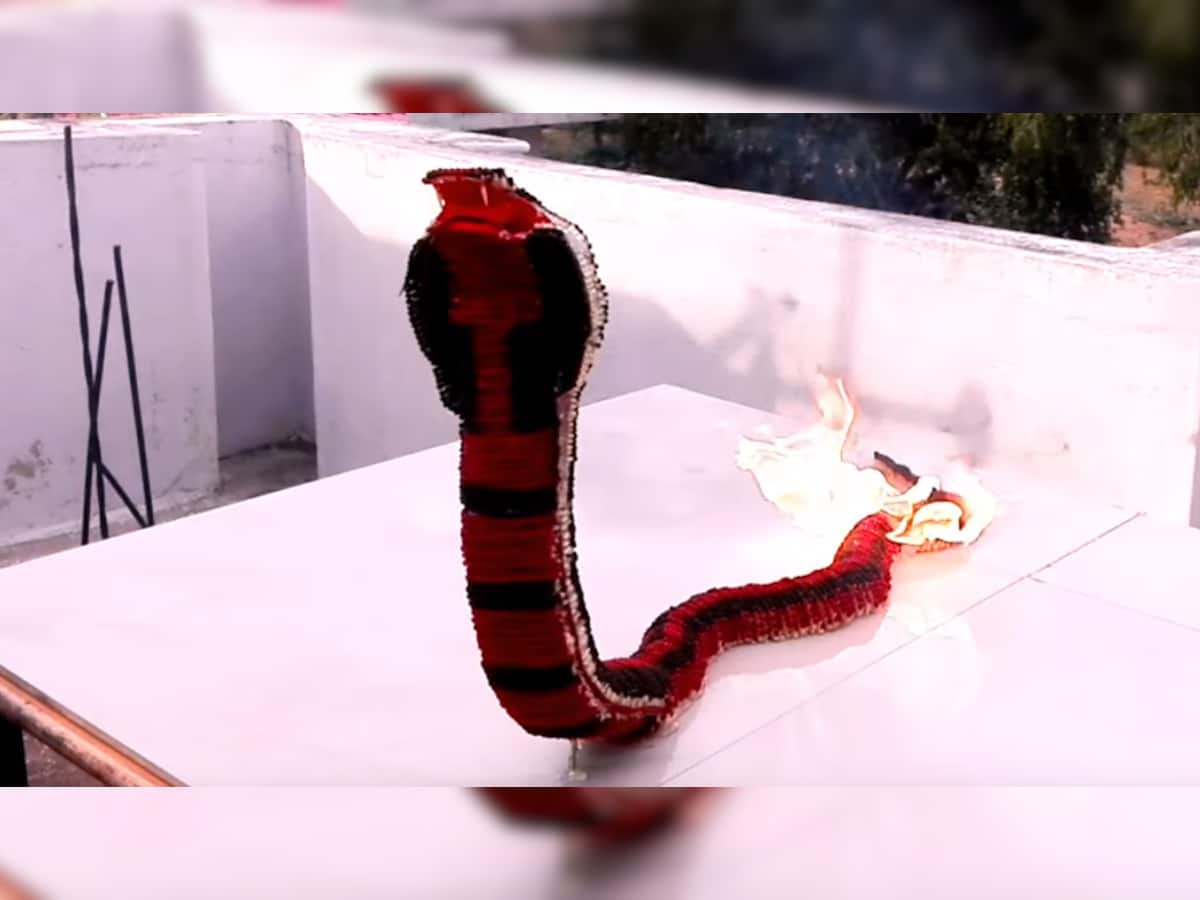 OMG...આ તે કેવો પૂંછડીથી આગ ઓકતો સાપ?, જુઓ VIDEO