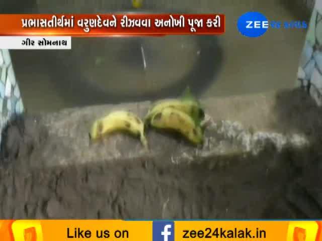 વરસાદ માટે સોમનાથમાં અનોખી પૂજા