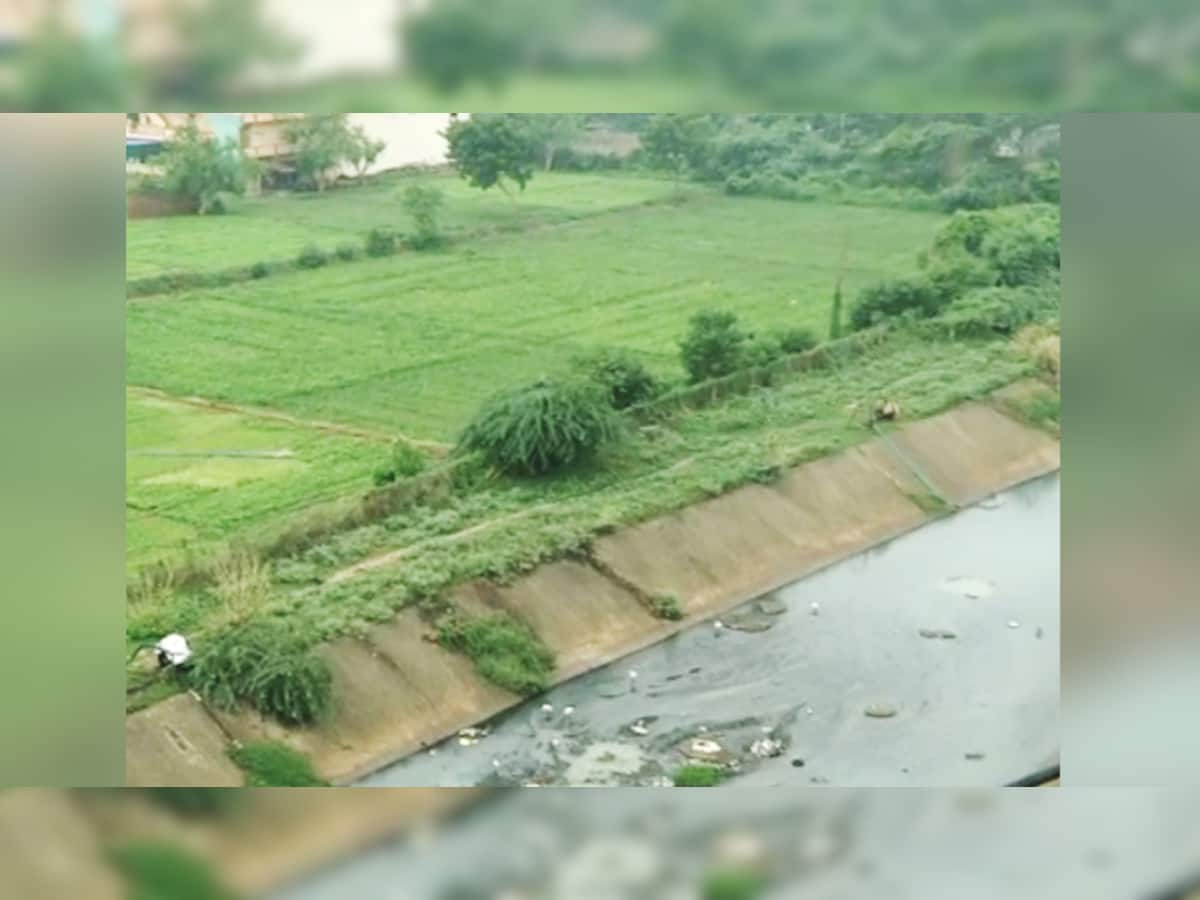 ગંદા પાણીથી ખેતી કરતા દેશોમાં ભારત ટોપ 5માં, ગુજરાતમાં થાય છે મબલક ઝેરી શાકભાજી