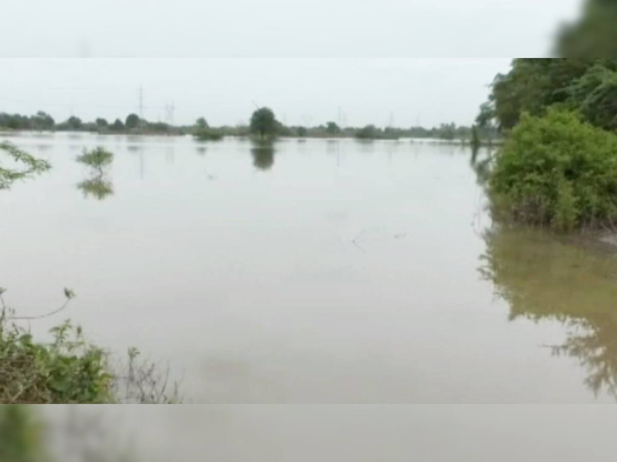 ભરૂચ: વરસાદી પાણીનો નિકાલ ન થતા ખેડૂતોને લાખો રૂપિયાનુ નુકશાન