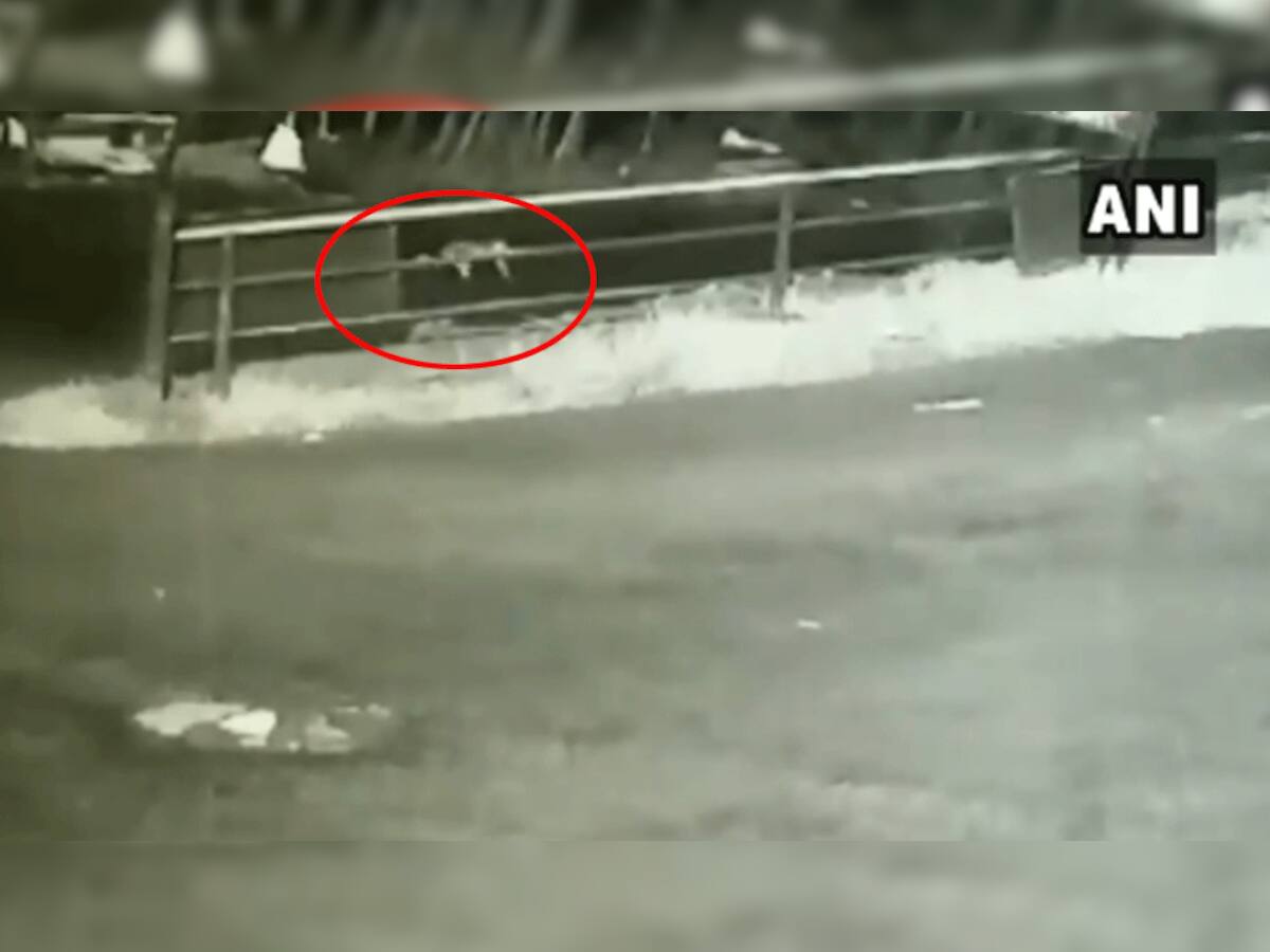 એક વર્ષની બાળકી ચાલુ ગાડીએ રસ્તા પર પડી ગઈ, પછી જે થયું તે જોઈને ધબકારા વધી જશે, જુઓ VIDEO 