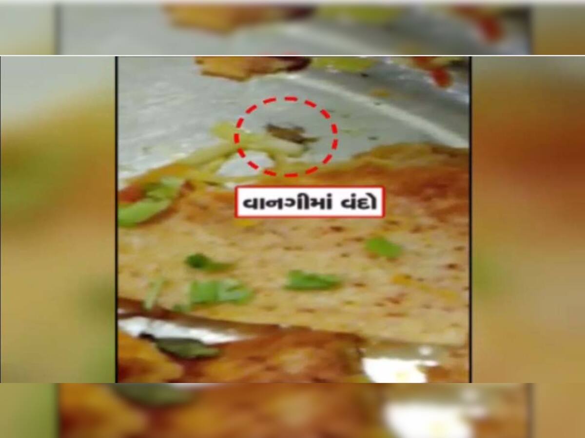 Video : અમદાવાદની ઓનેસ્ટ રેસ્ટોરન્ટમાં ઓર્ડર કરેલા ઢોંસામાંથી નીકળ્યો વંદો