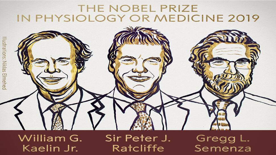Nobel Prize 2019 : બે અમેરિકન અને એક બ્રિટિશરને મળ્યો મેડિસિનનો નોબેલ Nobel Prize 2019 : બે અમેરિકન અને એક બ્રિટિશરને મળ્યો મેડિસિનનો નોબેલ