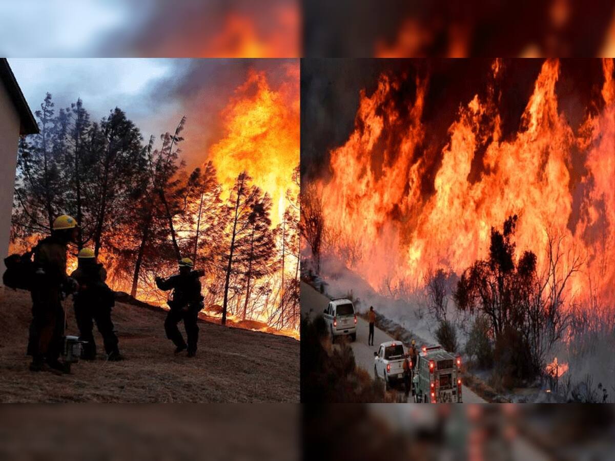 કૈલિફોર્નિયા : જંગલમા આગ પર કાબુ મેળવવાના પ્રયાસો, 7552 એકર જંગલ ખાખ