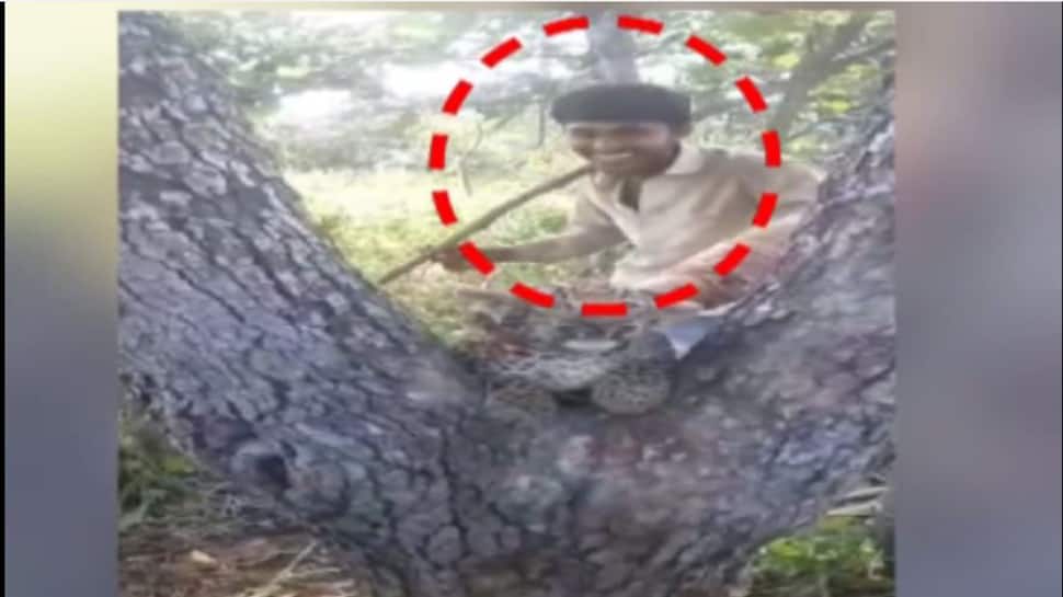 Video : દીપડાના બચ્ચાંને હેરાન કરતા 4 યુવકોની માહિતી આપનારા માટે વનવિભાગે ઈનામની જાહેરાત કરી Video : દીપડાના બચ્ચાંને હેરાન કરતા 4 યુવકોની માહિતી આપનારા માટે વનવિભાગે ઈનામની જાહેરાત કરી