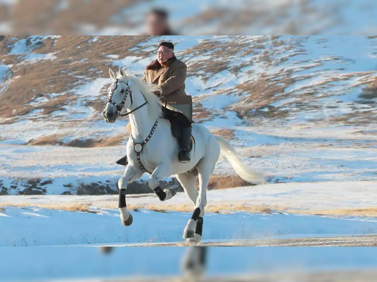 ઉત્તર કોરિયાના નેતા કિમ જોંગ ઉને 'પવિત્ર પર્વત' પર દોડાવ્યો સફેદ ઘોડો 