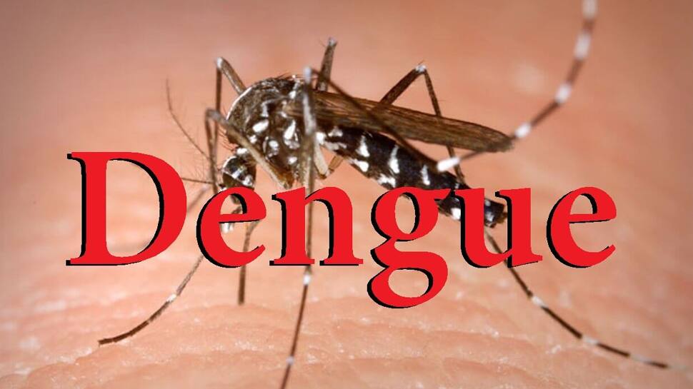 અમદાવાદ: ડેન્ગ્યુનાં કારણે 8 વર્ષની બાળકી સહિત 3નાં મોત, તંત્ર મુકપ્રેક્ષક બન્યું અમદાવાદ: ડેન્ગ્યુનાં કારણે 8 વર્ષની બાળકી સહિત 3નાં મોત, તંત્ર મુકપ્રેક્ષક બન્યું