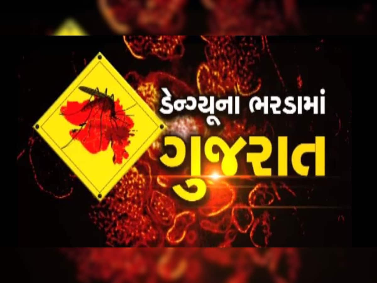 ગુજરાતમાં ડેન્ગ્યુનો અજગર ભરડો, સૌથી વધુ કેસ જામનગરમાં, સૌથી ઓછા ડાંગમાં