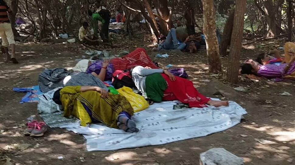 જુનાગઢ : ગીરનારની લીલી પરિક્રમા કરવા જતા પહેલા આ જરૂર વાંચો, નહી તો પસ્તાશો... જુનાગઢ : ગીરનારની લીલી પરિક્રમા કરવા જતા પહેલા આ જરૂર વાંચો, નહી તો પસ્તાશો...