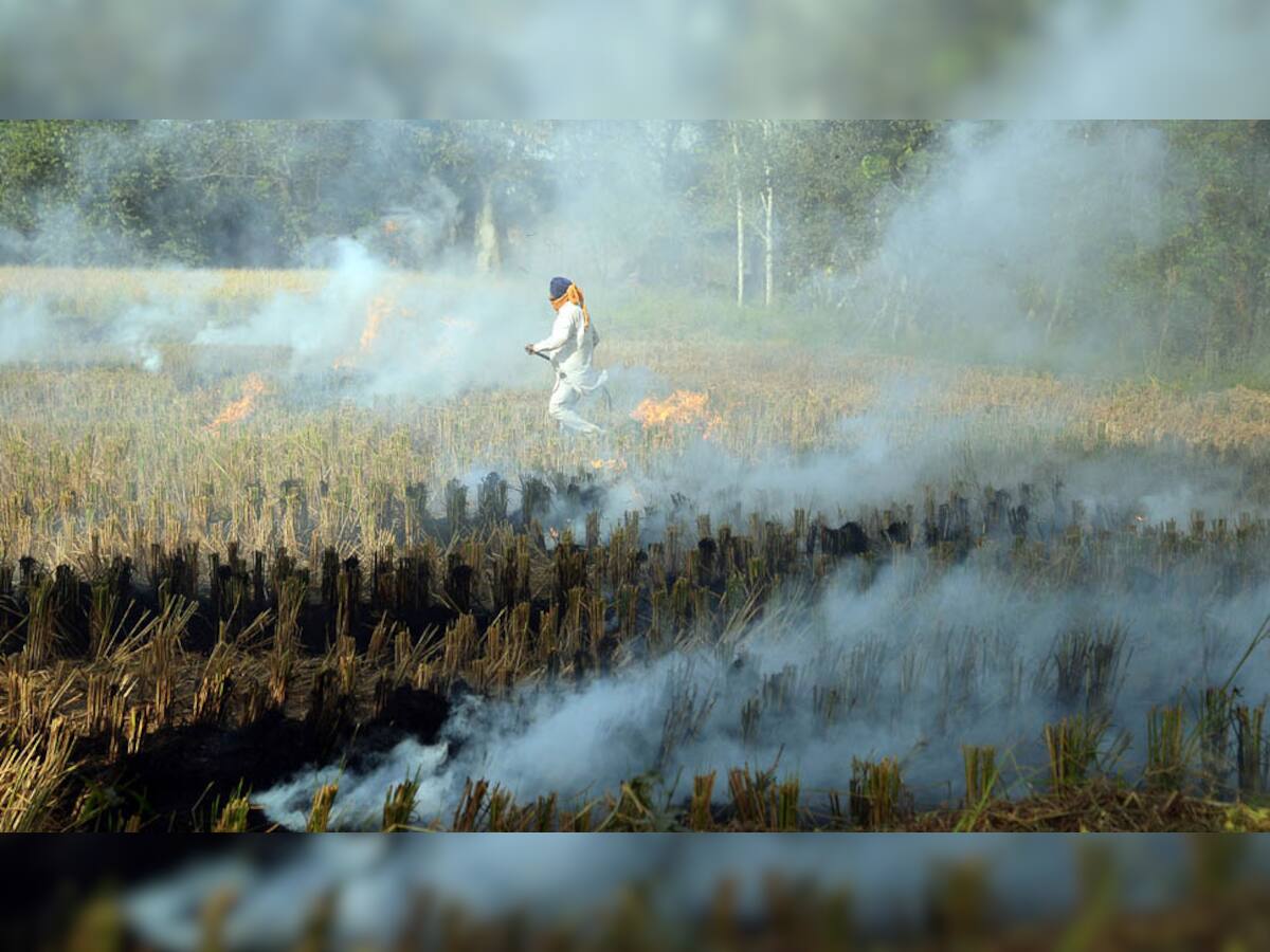 દિલ્હી પ્રદૂષણઃ ખેતરમાં ઠૂંઠા સળગાવવા બાબતે પંજાબ સરકારની ઝાટકણી કાઢતી સુપ્રીમ કોર્ટ 