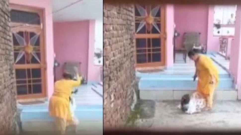 VIDEO: નિર્દયી માતાએ બાળકીને વાળ ખેંચી જમીન પર પટકી લાત-ઘૂસા માર્યા, તપાસમાં કારણ અંગે મોટો ખુલાસો VIDEO: નિર્દયી માતાએ બાળકીને વાળ ખેંચી જમીન પર પટકી લાત-ઘૂસા માર્યા, તપાસમાં કારણ અંગે મોટો ખુલાસો