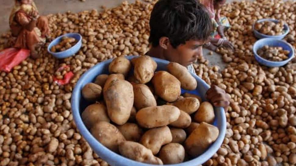 પેપ્સિકો સામે ખેડૂતોનો વિરોધ: જ્યાં નથી ઉગતા ત્યાં પણ બટાકા ઉગાડાશે પેપ્સિકો સામે ખેડૂતોનો વિરોધ: જ્યાં નથી ઉગતા ત્યાં પણ બટાકા ઉગાડાશે