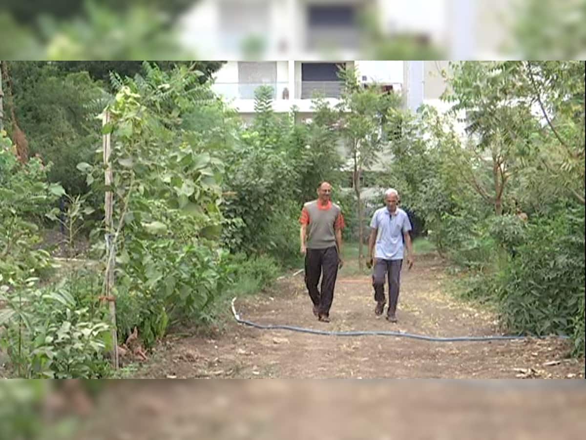 રાજકોટ શહેરમાં બન્યો ઓક્સિજન પાર્ક, જાપાની સિસ્ટમથી વાવ્યા 3000 વૃક્ષ