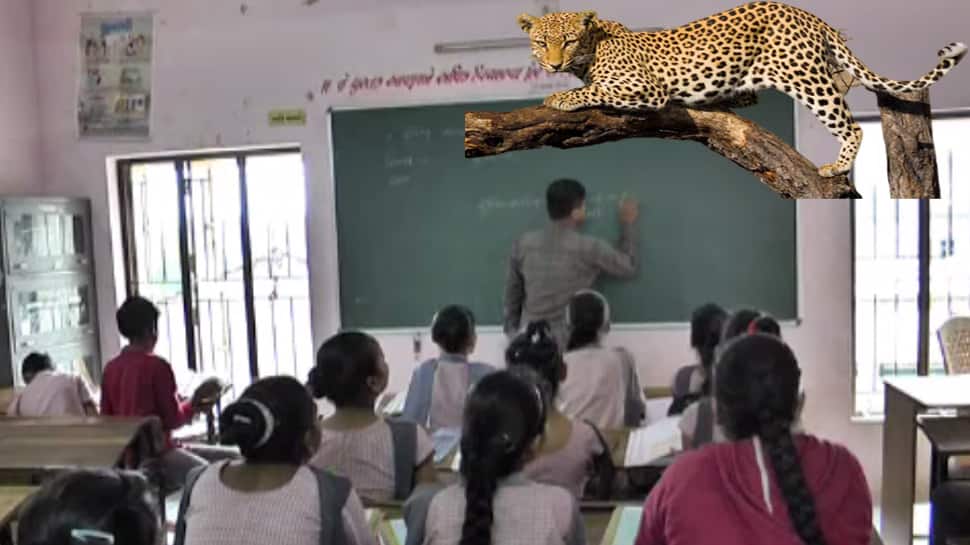 Leopard Attack: શાળા બહાર આદમખોર દીપડો અને અંદર ધડકતા હૈયે ચાલતું ભણતર... Leopard Attack: શાળા બહાર આદમખોર દીપડો અને અંદર ધડકતા હૈયે ચાલતું ભણતર...