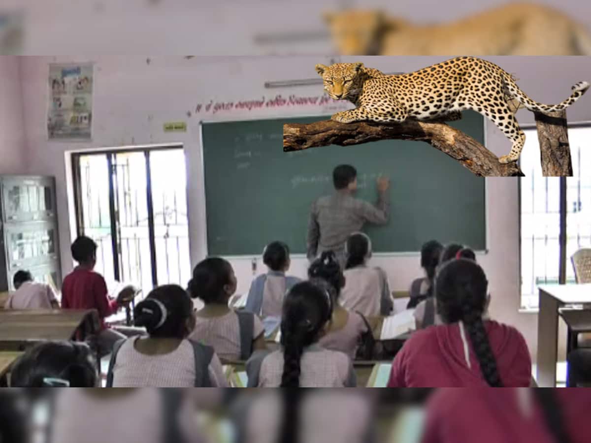 Leopard Attack: શાળા બહાર આદમખોર દીપડો અને અંદર ધડકતા હૈયે ચાલતું ભણતર...