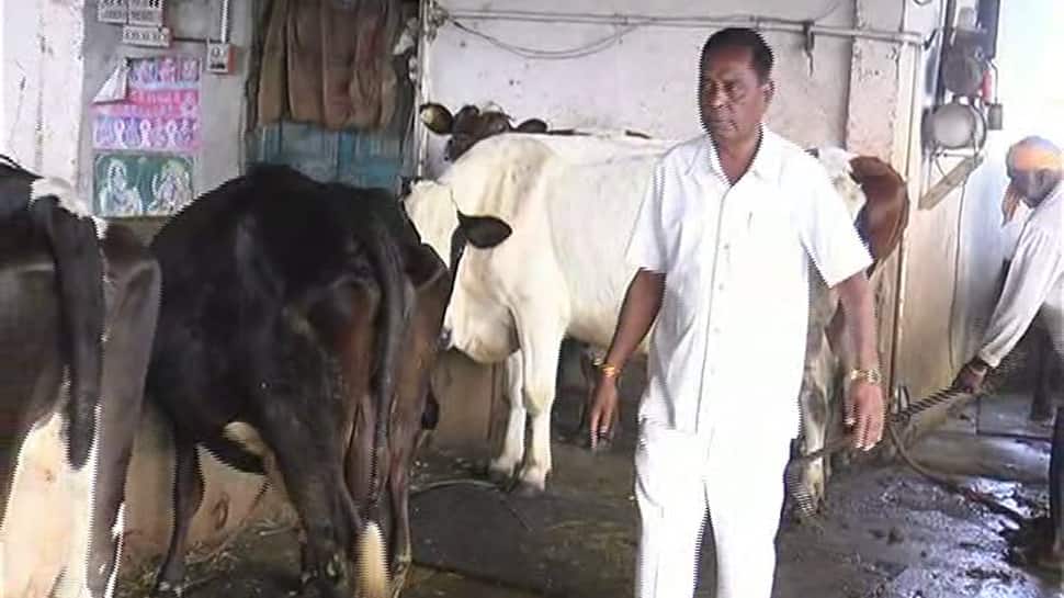 Success Story : એક કાંકરે બે પક્ષી મારવાની ટ્રીક અપનાવીને ગુજરાતના આ ખેડૂત બની ગયા માલામાલ Success Story : એક કાંકરે બે પક્ષી મારવાની ટ્રીક અપનાવીને ગુજરાતના આ ખેડૂત બની ગયા માલામાલ