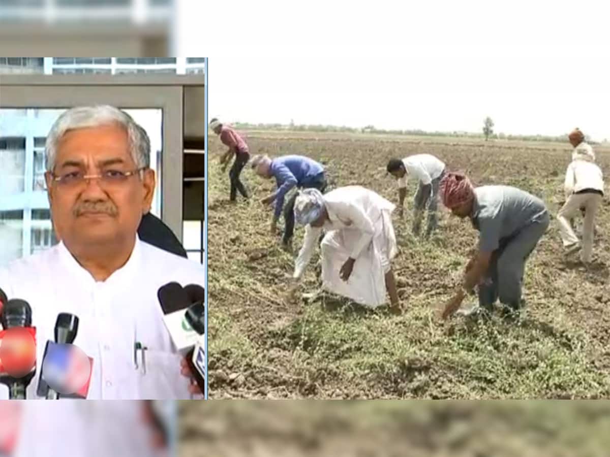 ગુજરાતના 17 લાખ ખેડૂતોને નુકસાનીના રૂપિયા ચૂકવવા અંગે સરકારે કરી મોટી જાહેરાત