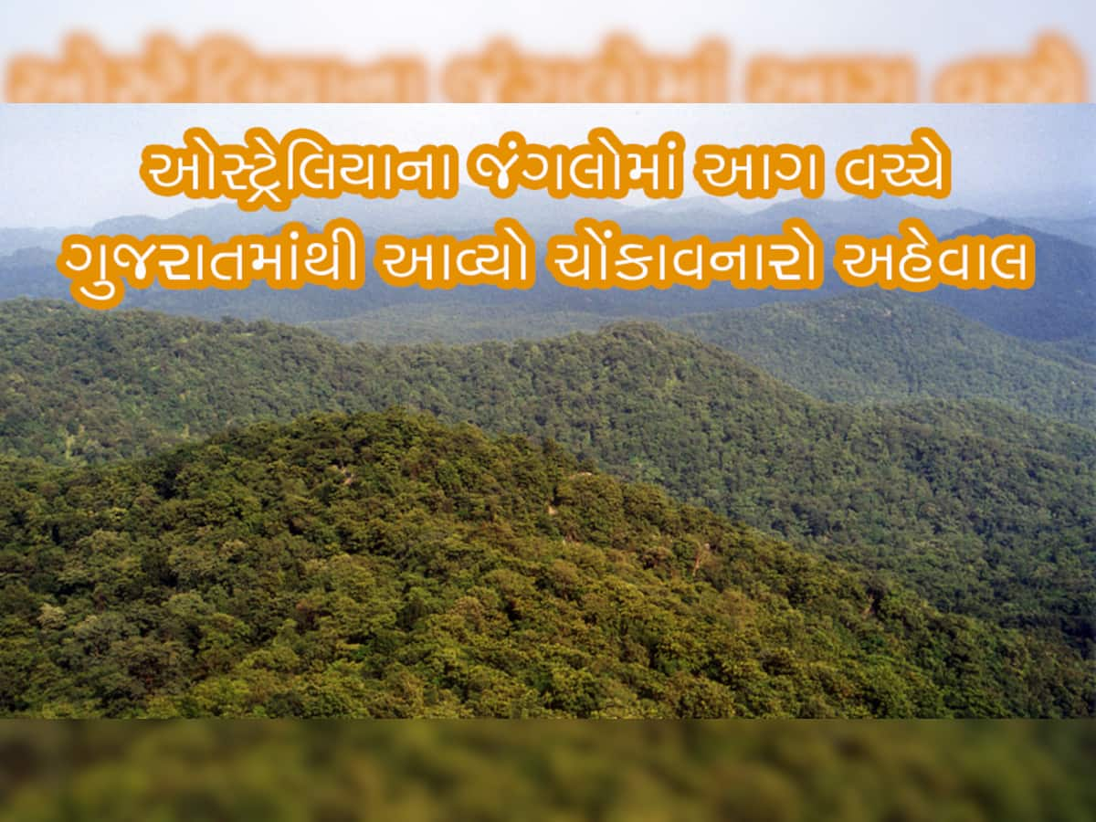 ઓસ્ટ્રેલિયાની આગ કરતા ગુજરાતનો આ અહેવાલ વાંચી તમારા દિલમાં લાગશે આગ