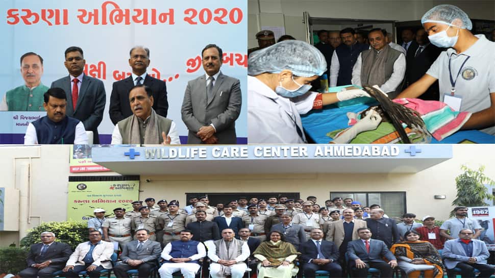 ઉતરાયણ: પશુઓ માટે સંવેદનશીલ સરકાર, 124 ડોક્ટર્સ અને 1469 વોલેન્ટિયર્સ ખડેપગે ઉતરાયણ: પશુઓ માટે સંવેદનશીલ સરકાર, 124 ડોક્ટર્સ અને 1469 વોલેન્ટિયર્સ ખડેપગે