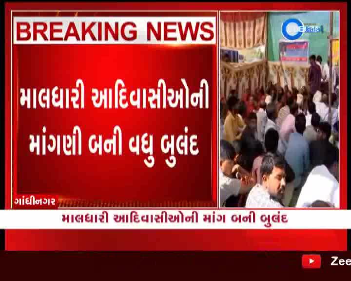 ગાંંધીનગરમાં માલધારી સમાજનું પ્રદર્શન