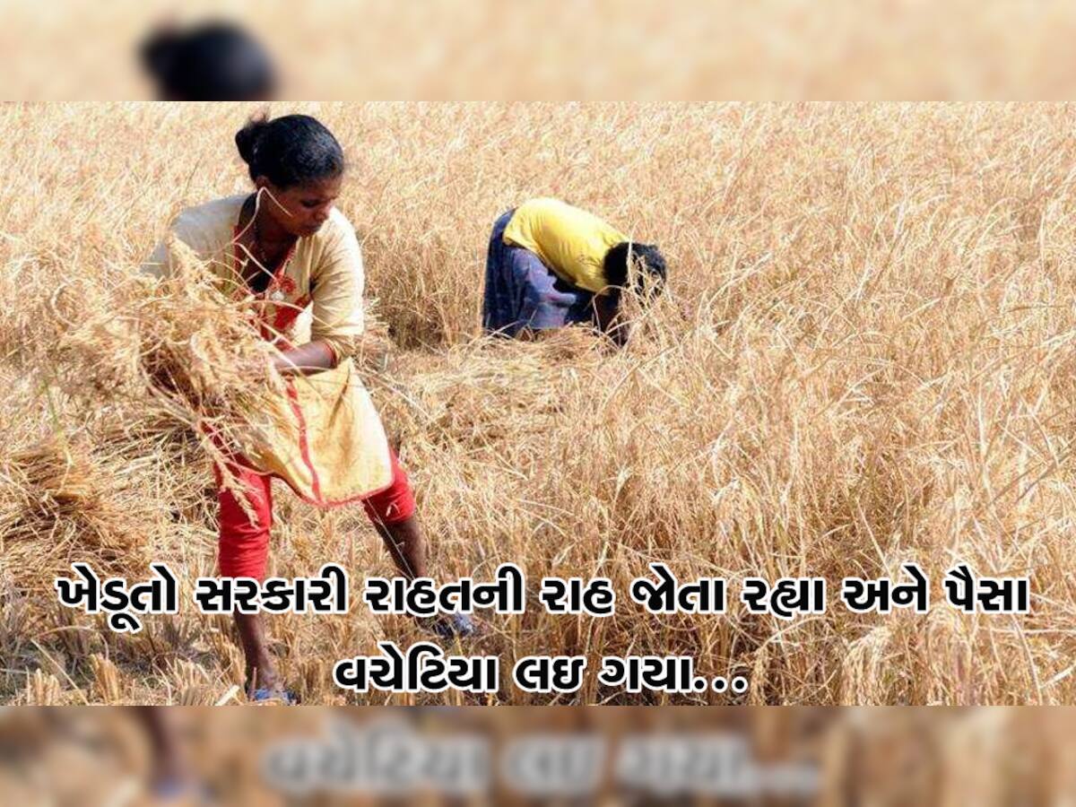 મહાકૌભાંડ: ખેડૂતો સહાયની રાહ જોતા રહ્યા અને પૈસાનું ચુકવણું વચેટીયાઓને થઇ ગયું