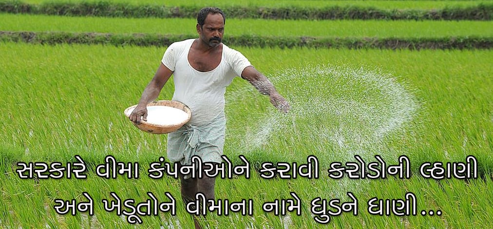 સરકારે દળી દળીને ઘંટીમાં ભર્યું? વીમા કંપનીઓને કરોડો ચુકવ્યા, ખેડૂતોને મળ્યો ઠેંગો સરકારે દળી દળીને ઘંટીમાં ભર્યું? વીમા કંપનીઓને કરોડો ચુકવ્યા, ખેડૂતોને મળ્યો ઠેંગો