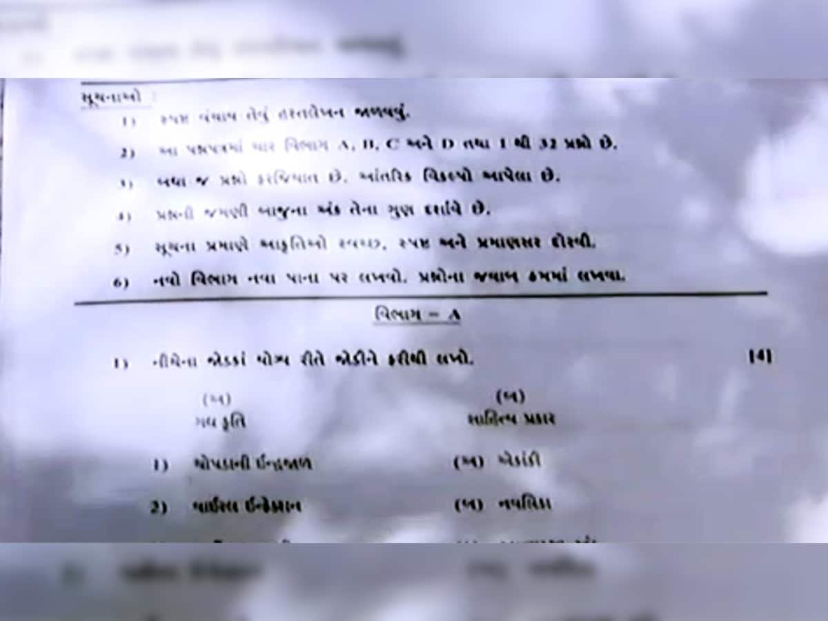 સિંહ કે શિયાળ ? : કેવું હતું ધોરણ 10ની પરીક્ષાનું પ્રથમ પેપર? જાણવા માટે કરો ક્લિક..