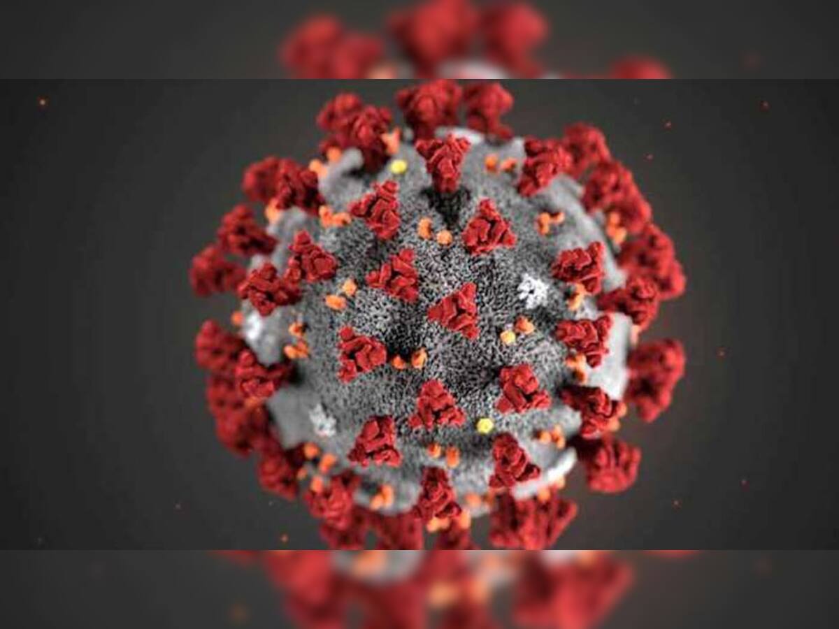 Coronavirus Live Updates : દેશમાં કોરોનાના 169 મામલા, મહારાષ્ટ્રમાં હાલત સૌથી વધારે ખરાબ