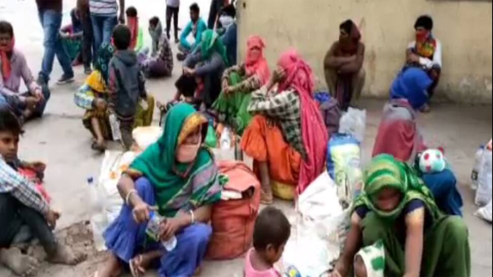ZEE IMPACT: વડોદરામાં મધ્ય પ્રદેશના શ્રમજીવી પરિવારની મદદે આવ્યું તંત્ર ZEE IMPACT: વડોદરામાં મધ્ય પ્રદેશના શ્રમજીવી પરિવારની મદદે આવ્યું તંત્ર