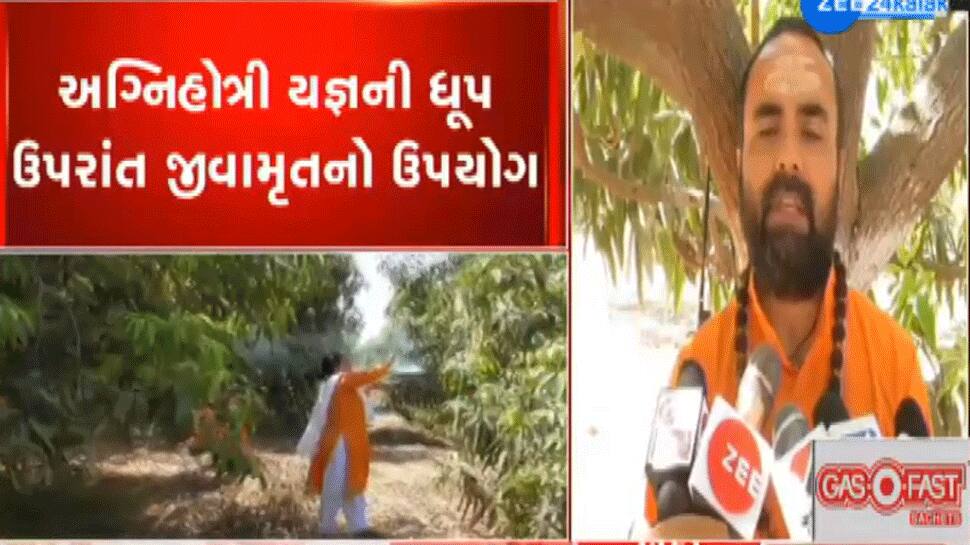 ઋષિમુનીઓ કરતા એવી આધ્યાત્મિક શક્તિથી ગીરના જંગલમાં થાય છે ખેતી ઋષિમુનીઓ કરતા એવી આધ્યાત્મિક શક્તિથી ગીરના જંગલમાં થાય છે ખેતી