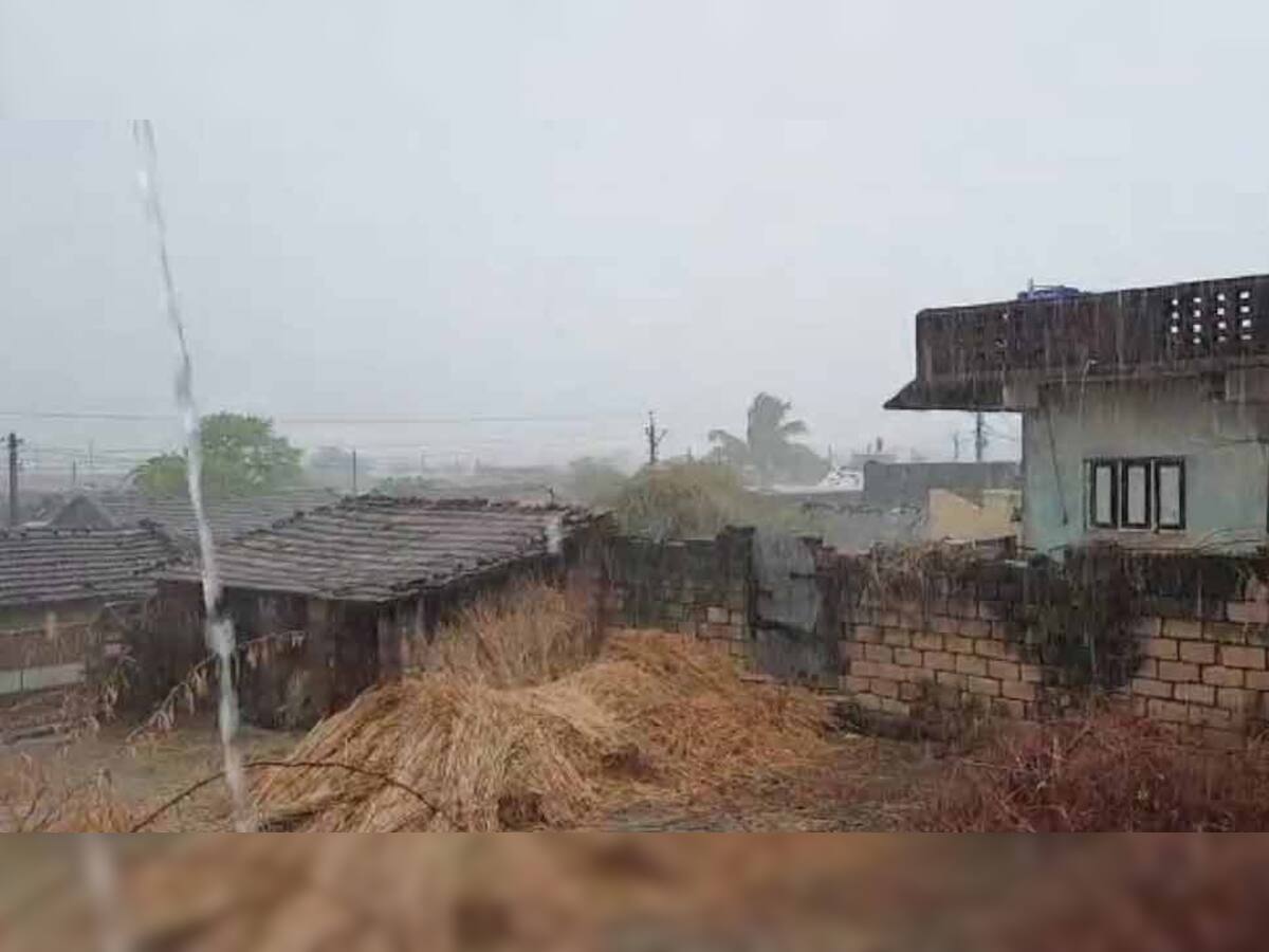સાવરકુંડલામાં વરસાદ: સ્થાનિક નદીઓમાં પુરની સ્થિતિ, વીજળી પડતા 16 બકરીના મોત