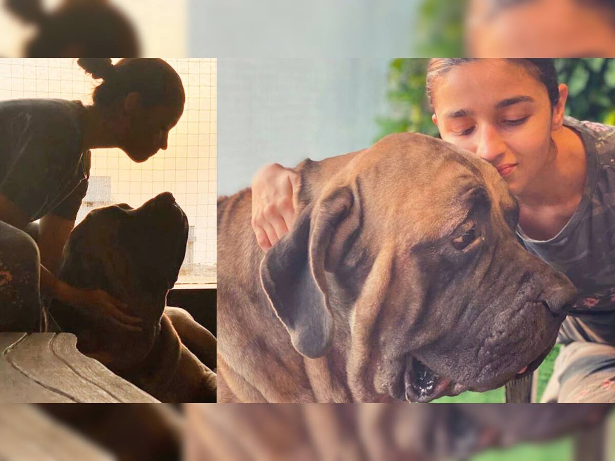 Ranbir Kapoor ના પાલતૂ કુતરા સાથે રમતી જોવા મળી Alia Bhatt, વાયરલ થઇ તસવીરો