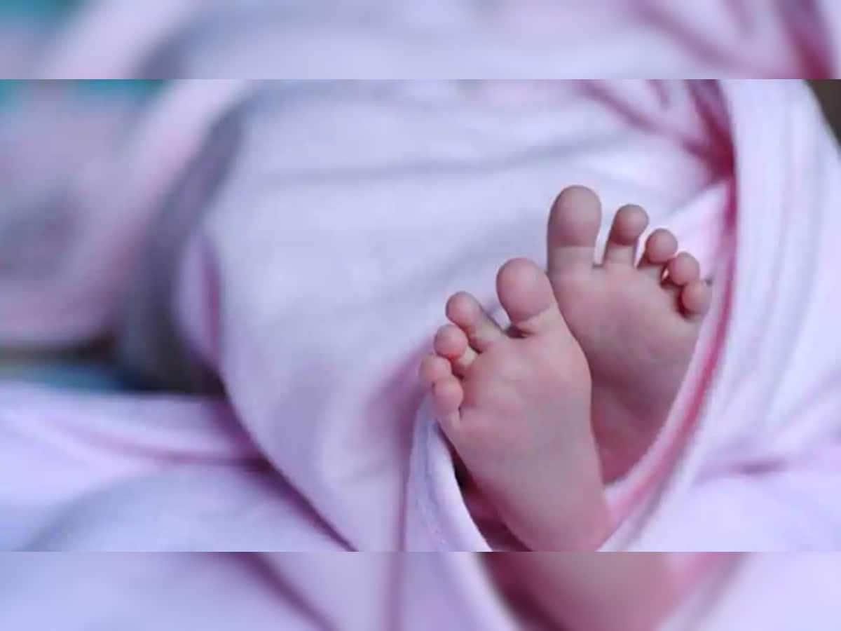  રાજ્ય સરકારે 4 માર્ચથી 31 જુલાઈ સુધી જન્મ-મરણની નોંધણી માટે લેટ ફી જતી કરી