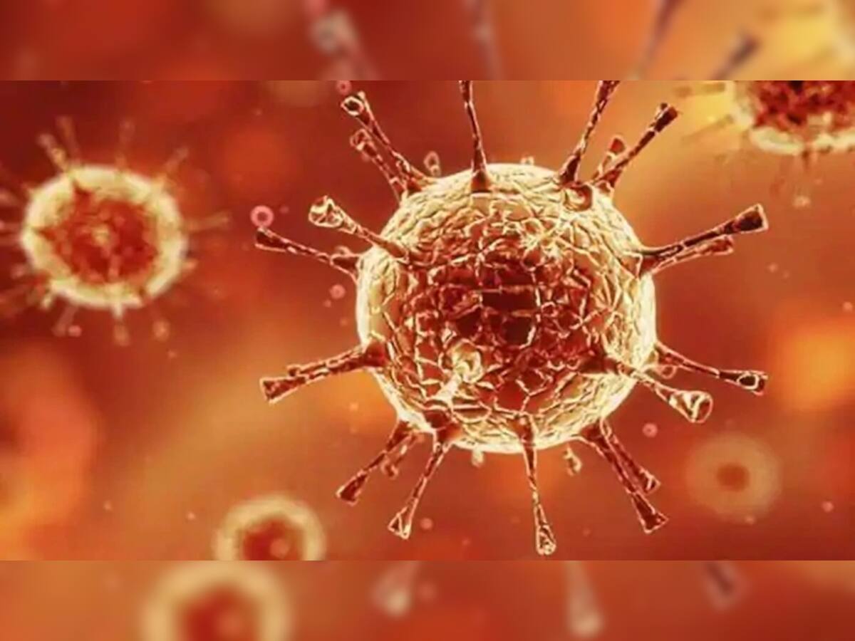Corona virus: વડોદરામાં નવા 36 કેસ નોંધાયા, કુલ સંક્રમિતોની સંખ્યા 1400ને પાર