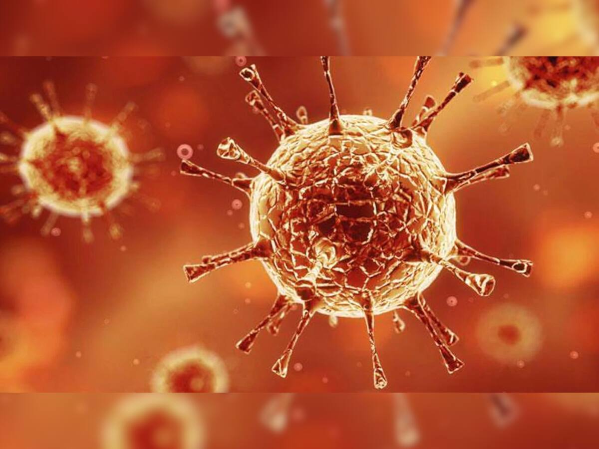 Corona Virus: જીવલેણ વાયરસ અંગે આવ્યા રાહત મળે તેવા સમાચાર, ખાસ જાણો