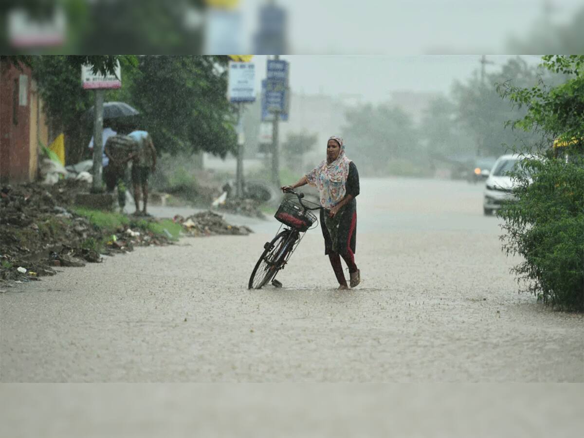 ક્યાંક અનરાધાર, તો ક્યાંક કોરુંકટ... 15 જુલાઈ સુધી ગુજરાતમાં ક્યાં કેટલો વરસાદ નોંધાયો? જાણો આંકડાથી