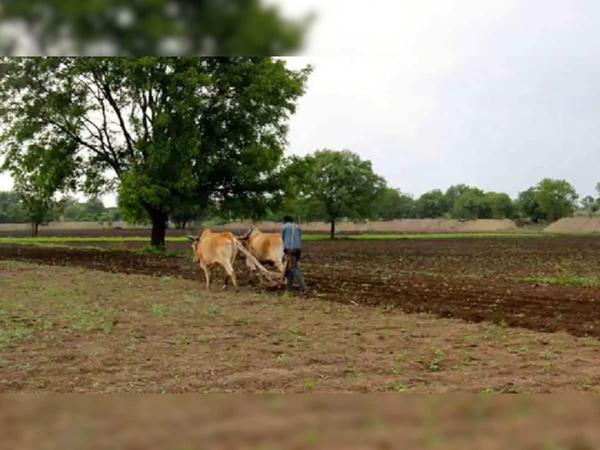  ઉત્તર અને મધ્ય ગુજરાતના ખેડૂતોને વધુ બે કલાક વીજળી મળશેઃ સરકારની જાહેરાત
