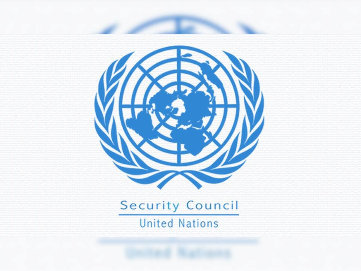 UNSC માં ભારતે પાકિસ્તાનને ઘેર્યું, કહ્યું- દાઉદ જેવા આતંકવાદીને પાળે છે
